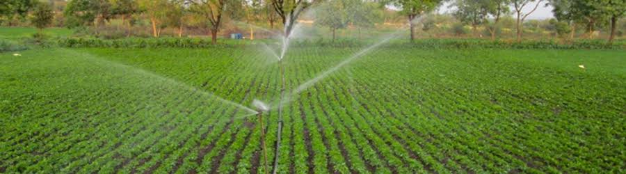 Pradhan Mantri Krishi Sinchai Yojana Know the scheme