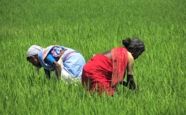 Government initiatives facilitating Organic Farming in India