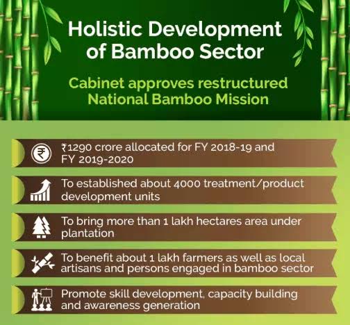 How bamboo helps to double farmers income for exams