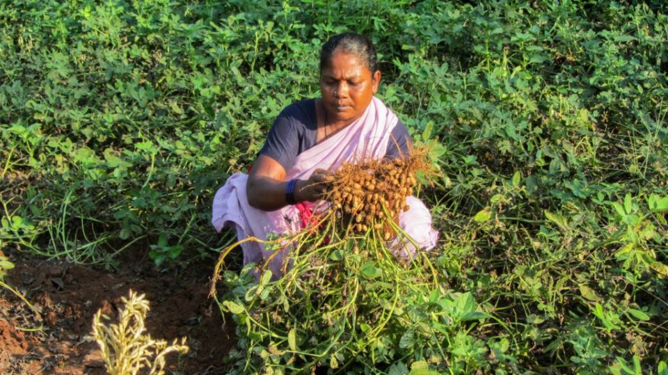 Agri News | June 2019