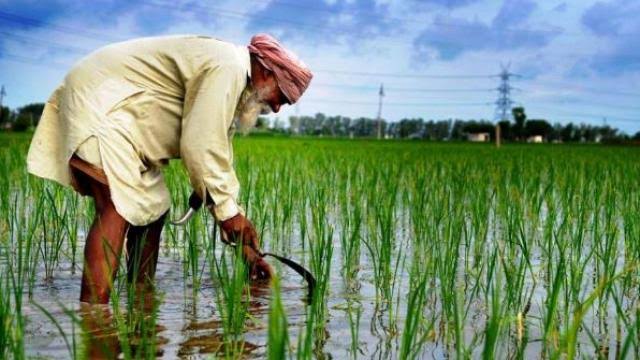 All about PM Kisan Maan Dhan Yojana – Farmers Pension Scheme